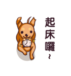 Dachshund Hei-pi and Duckling's daily（個別スタンプ：37）