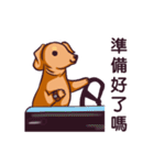 Dachshund Hei-pi and Duckling's daily（個別スタンプ：38）