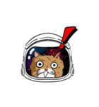 Space Cat Odyssey（個別スタンプ：11）