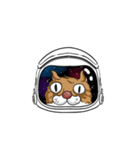 Space Cat Odyssey（個別スタンプ：13）