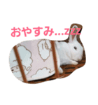 白ウサのプクリン（個別スタンプ：2）