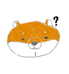 expressionless shiba（個別スタンプ：1）