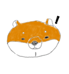 expressionless shiba（個別スタンプ：2）