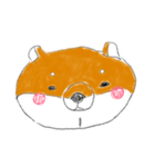 expressionless shiba（個別スタンプ：3）