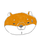 expressionless shiba（個別スタンプ：4）