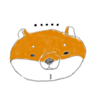 expressionless shiba（個別スタンプ：5）