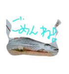 various   many  Fish（個別スタンプ：5）