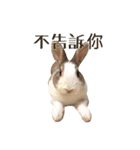 ウサギ ミリちゃん（個別スタンプ：11）