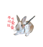ウサギ ミリちゃん（個別スタンプ：24）