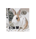 ウサギ ミリちゃん（個別スタンプ：32）