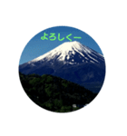 fuji-san（個別スタンプ：7）