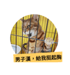 Mr. Leopard Cat（個別スタンプ：21）