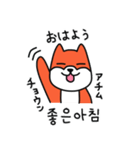 笑う犬シバ～学校の韓国語～（個別スタンプ：1）