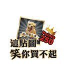 DOG IS RICHEST（個別スタンプ：1）