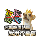 DOG IS RICHEST（個別スタンプ：3）