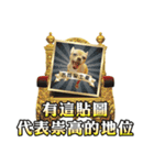 DOG IS RICHEST（個別スタンプ：4）