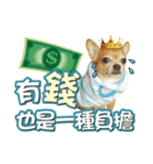 DOG IS RICHEST（個別スタンプ：6）