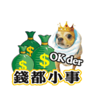 DOG IS RICHEST（個別スタンプ：7）