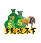 DOG IS RICHEST（個別スタンプ：8）