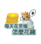 DOG IS RICHEST（個別スタンプ：14）