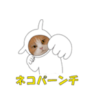 俺様的な ねこ50%（個別スタンプ：1）