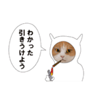 俺様的な ねこ50%（個別スタンプ：10）