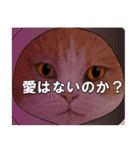 俺様的な ねこ50%（個別スタンプ：22）