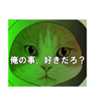 俺様的な ねこ50%（個別スタンプ：23）