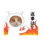 俺様的な ねこ50%（個別スタンプ：35）