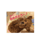 poodlestamp（個別スタンプ：16）