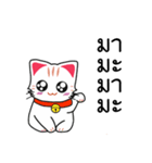 Cute Cat Chat to : Shopping（個別スタンプ：1）