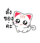 Cute Cat Chat to : Shopping（個別スタンプ：2）