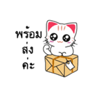 Cute Cat Chat to : Shopping（個別スタンプ：9）