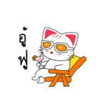 Cute Cat Chat to : Shopping（個別スタンプ：35）