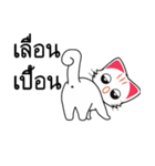 Cute Cat Chat to : Shopping（個別スタンプ：37）