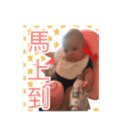 Baby＆Dog_（個別スタンプ：22）