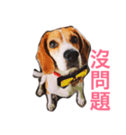 MyBeagle（個別スタンプ：7）