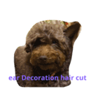 Dog   hair style（個別スタンプ：14）