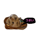 hamster  ！！！（個別スタンプ：7）