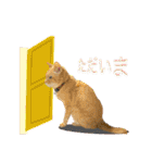 七福猫（個別スタンプ：17）