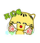 Cute striped cat. CAT125（個別スタンプ：25）