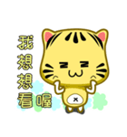 Cute striped cat. CAT125（個別スタンプ：31）