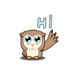 Little laughed owl（個別スタンプ：1）