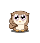 Little laughed owl（個別スタンプ：12）