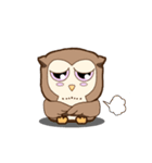 Little laughed owl（個別スタンプ：19）