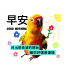 Bird ＆ Bird（個別スタンプ：13）