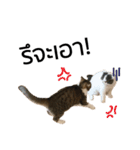 01 good Cat（個別スタンプ：9）