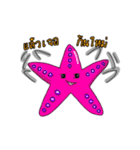 Starfish cute（個別スタンプ：14）