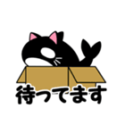 シャチ猫（個別スタンプ：20）