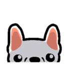 French bulldog's normal life（個別スタンプ：3）